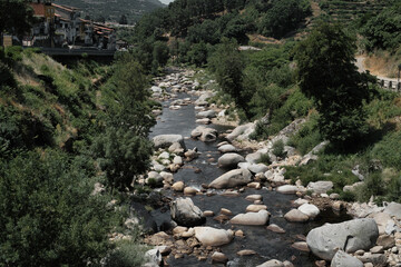 JERTE VALLEY, WONDERFUL IN SPRING, PICKED FROM THE FAMOUS JERTE CHERRY