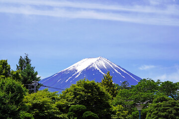 木々の向こうに見える雪をかぶった山　富士山