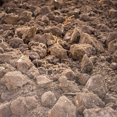 excavated land closeup, fresh soil for background.