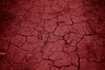Earth in cracks, rural road close-up, red tone