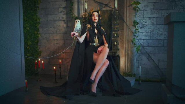 Portrait fantasy gothic woman queen witch sits on throne, holds white barn owl on hand. Bird wisdom pet. Princess girl sexy vampire costume, black dress cape golden crown, old style room metal chair