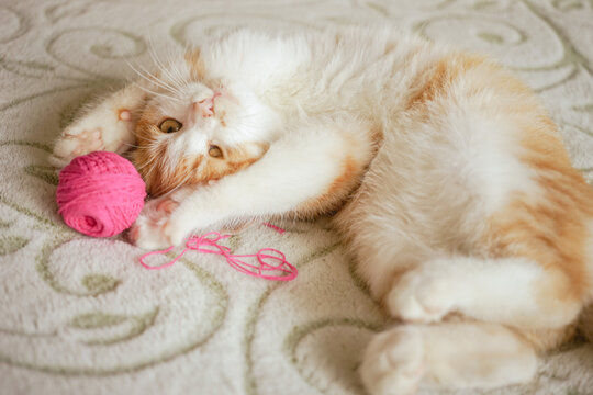 Ginger kitten plays with a pink ball of thread. Cat lying on the bed.