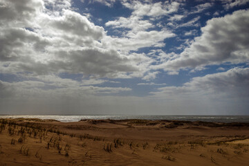 Fototapeta na wymiar sand beach in Uruguay 