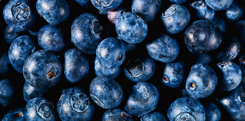 Full frame shot of round blueberries from above. Tasty and healthy forest berries background theme.