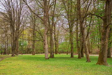 Fototapeta premium beautiful view in the park, blue sky with clouds, summer sunny day in nature, Ingolstadt 