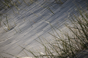 shadow texture in sand beach