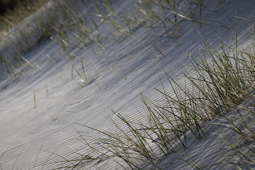 sunlight and shadow on dunes