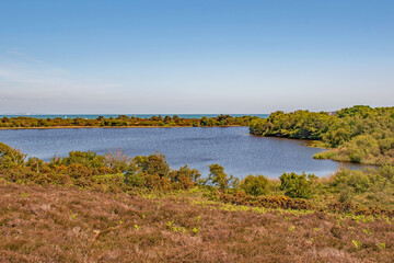 A view across an enclosed lake at Sandbanks Nature Reserve to the sea Dorset England