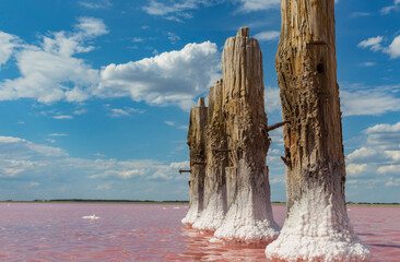 wooden poles in salt water covered with salt