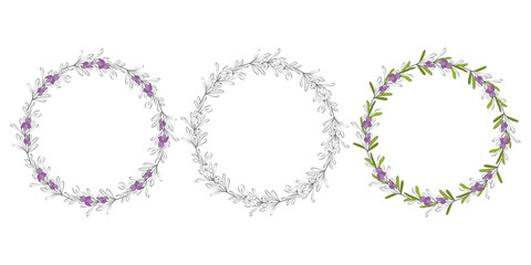 Wreath hand drawing round frame Rosemary sprigs. Set of floral wreaths with leaves, branches. Decorative elements for design. Dudling outline silhouette. Vector illustration