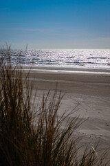 beach in the morning