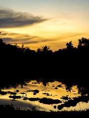 Obraz na płótnie Canvas Sunrise in the rice field