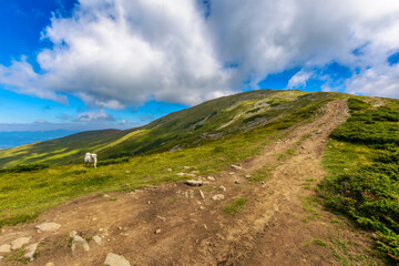 trail uphill the petros peak. beautiful summer landscape of carpathian mountains. success and achievement concept. grassy hill beneath a sky with clouds