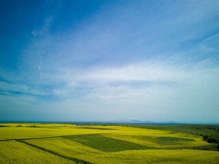 Top view of field with rapeseed and field with grass against blue sky