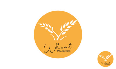 Wheat Logo Design Template With badge. simple wheat grain vector icon logo design. lines art wheat grass logo vector symbol icon design.