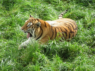 Parque de la Naturaleza de Cabarceno