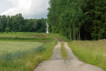 Fototapeta na wymiar Rural Road Leading To The Mountain Range. Germany, Bavaria.