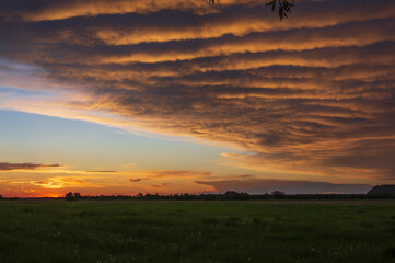 cirrus clouds at sunset