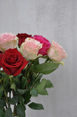 bouquet of beautiful pink and red roses