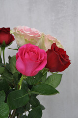 bouquet of beautiful pink and red roses