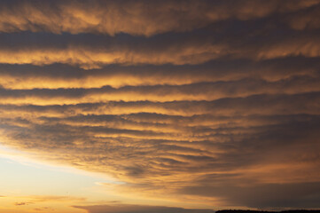 Naklejka na ściany i meble cirrus clouds at sunset