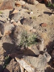 Landscapes of the Sinai Mountains, Egypt