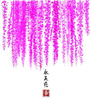Pink Wisteria hand drawn with ink on white background. Contains hieroglyph - happiness, eternity, beauty, flower. Traditional oriental ink painting sumi-e, u-sin, go-hua. Bunches of flowers.