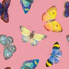 Seamless pattern Watercolor butterflies on a bright background. Botanical background of butterflies for design, wallpapers, wrapping paper, textiles.