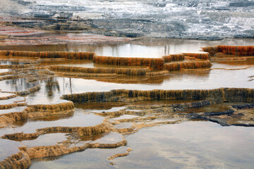 Pools of water on the volcanic terraces, Mammoth Hot Springs Yellowstone National Park, Wyoming USA
