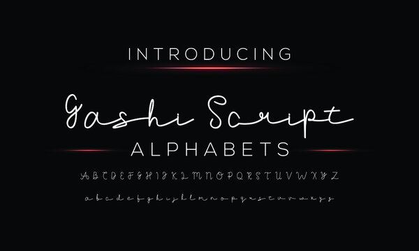 Handwriting script font design. Vector alphabet.