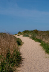 Strandzugang durch eine mit Gras und Strandhafer  bewachsene Düne