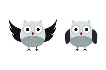 two owls