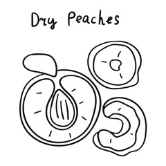 Dry peaches. Vector outline illustration on white background.