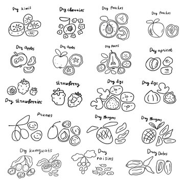 Dry fruits. Set of outline icons. Vector illustrations on white background.