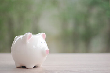 piggy bank on blur background save money concept