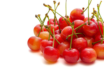 さくらんぼ （山形県産 佐藤錦）