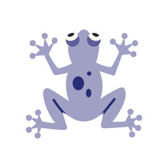 Frog, top view, cartoon style. Trendy modern vector illustration isolated on white background, hand drawn