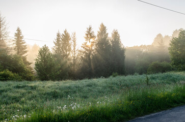 Bieszczady wschód słońca 