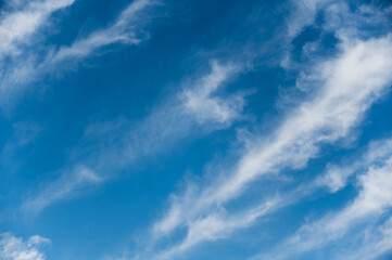 Fototapeta premium Summer sky. Four white clouds in the blue sky. A lone bird flying at the bottom of the frame. Beautiful natural background. The natural beauty of nature