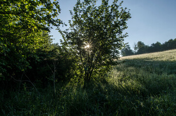 Obraz premium Bieszczady wschód słońca 