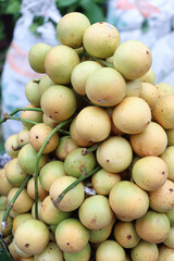 Baccaurea motleyana Stock on shop