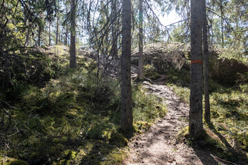 Wandern im der Wildnis des Tiveden Nationalpark in Schweden