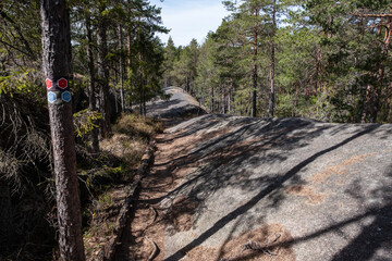 Wandern im der Wildnis des Tiveden Nationalpark in Schweden