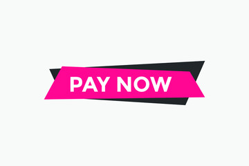 Pay Now button. Pay Now text web banner template. Sign icon banner
