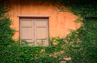 window with shutters