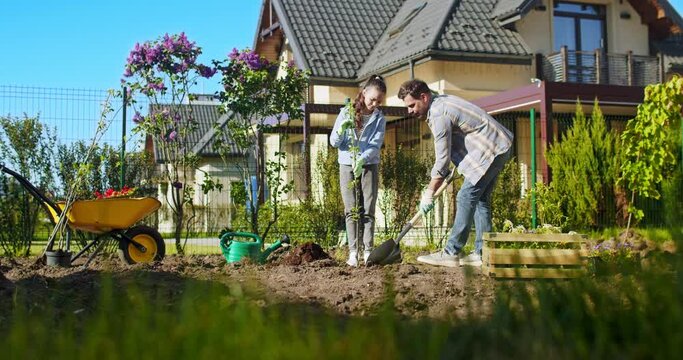 Handsome Caucasian father teaching pretty teen daughter to plant tree at summerhouse on nice summer day. Dad digging a hole to plant trees and beautiful girl helping him.