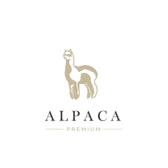 Foto auf Alu-Dibond Premium alpaca vector illustration logo © Ricky