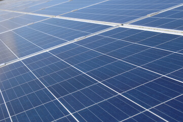 Rows of solar panels - 511874616