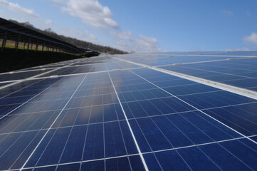 Rows of solar panels - 511874621