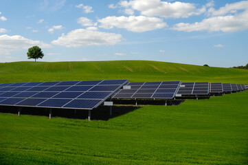 Rows of solar panels and green nature - 511874655